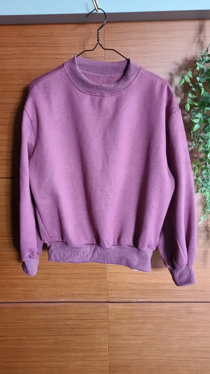 Soft and fluffy knit sweatshirt (new product)