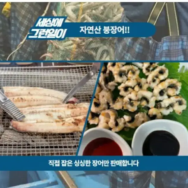 바다장어(대) 1kg(4~6미) 45%DC