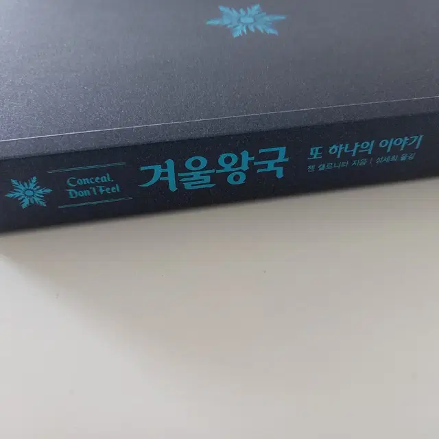 겨울왕국 또 하나의 이야기