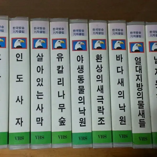 NHK 다큐 <자연의 세계> VHS