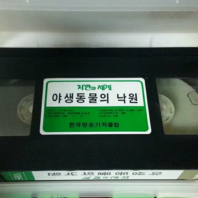 NHK 다큐 <자연의 세계> VHS