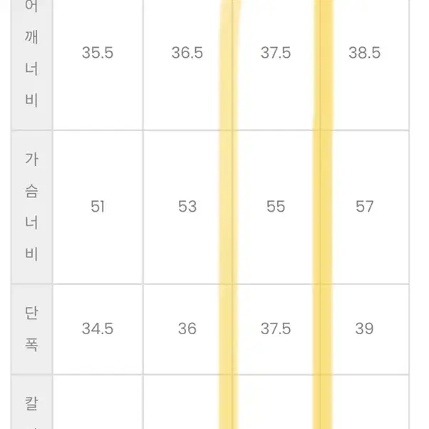 어반레비보 니트 베이지L