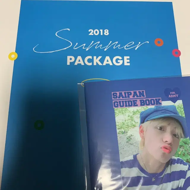 2018 썸머패키지 썸패 태형 가이드북 양도