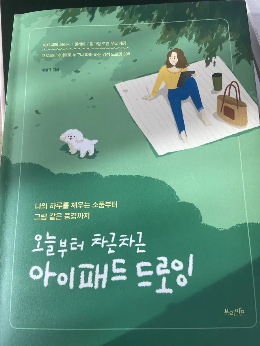 아이패드 드로잉 책