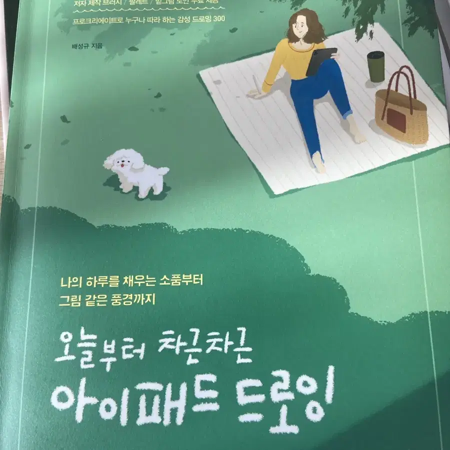 아이패드 드로잉 책