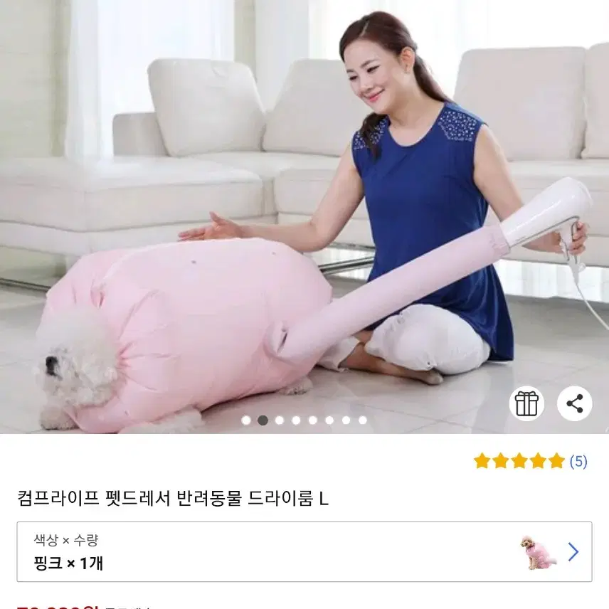 강아지펫드라이룸