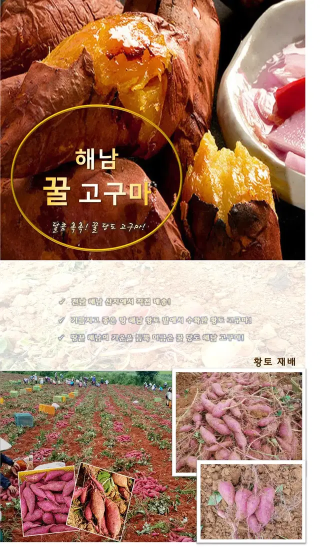 해남 황토재배 당도 꿀 고구마 다이어트 헬스 오키나와품종 1박스 2KG