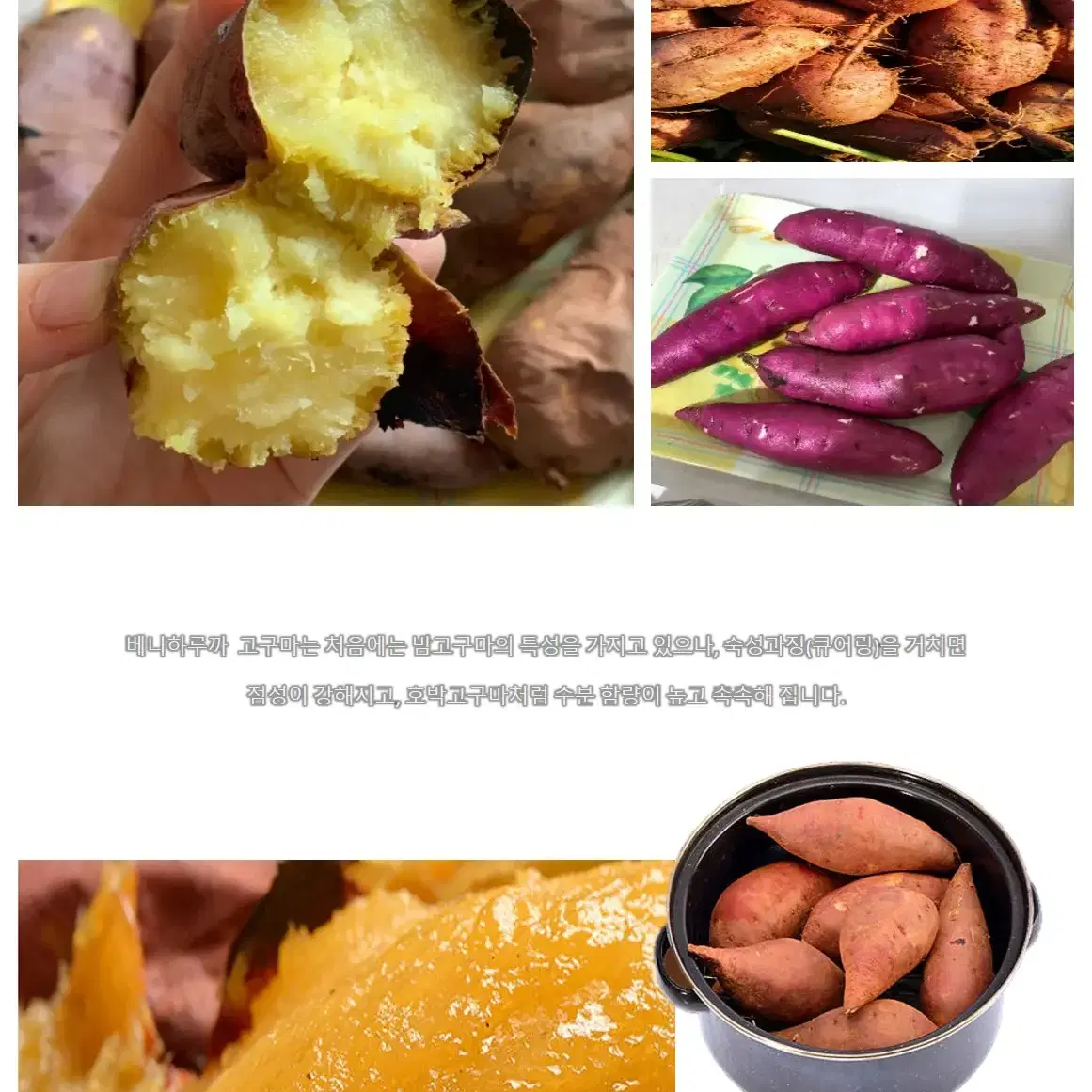 해남 황토재배 당도 꿀 고구마 다이어트 헬스 오키나와품종 1박스 2KG