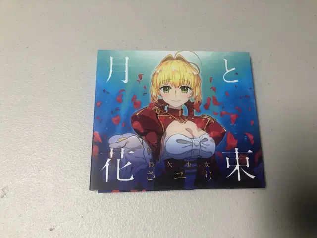 FATE 페이트 음반 + DVD