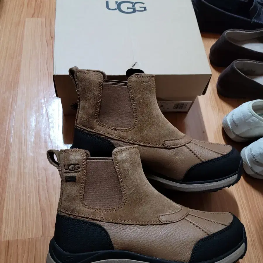 ugg