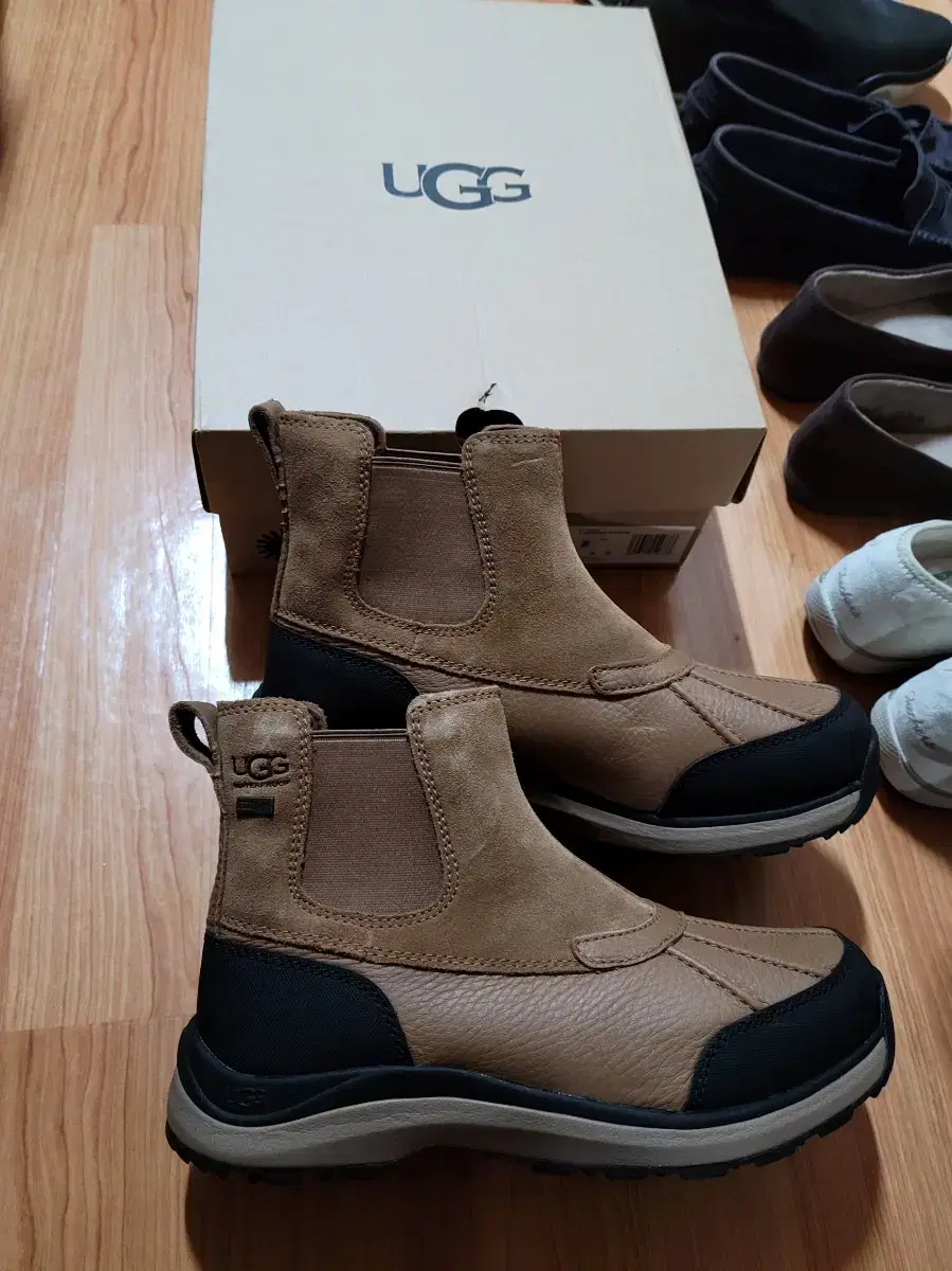 ugg