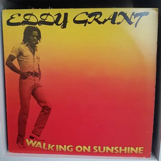 Eddy Grant 바이닐 레코드 LP