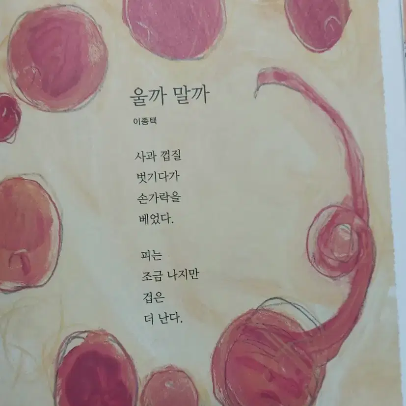 유아 동화책 3권 5000 볼로냐 라가치상수상작 포함