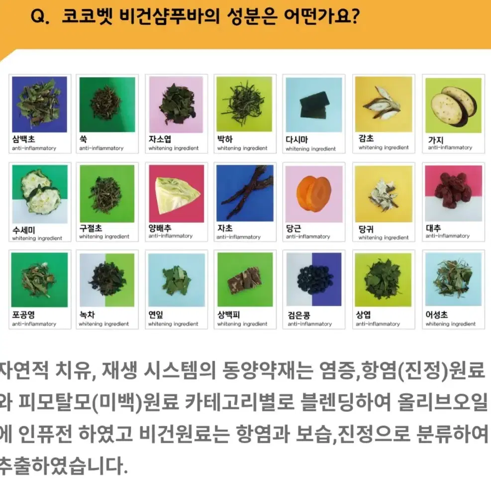 코코벳 강아지 올인원 수제 비건펫솝(아이디어스 판매중)