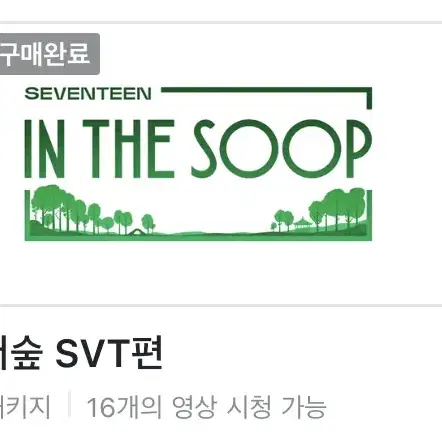 세븐틴 인더숲1,2 영상 대여