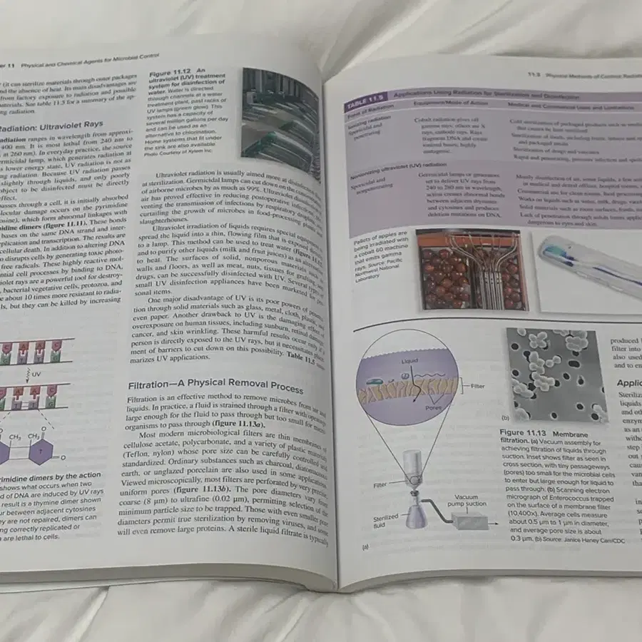 미생물공학전공책10th foundations in microbioloy