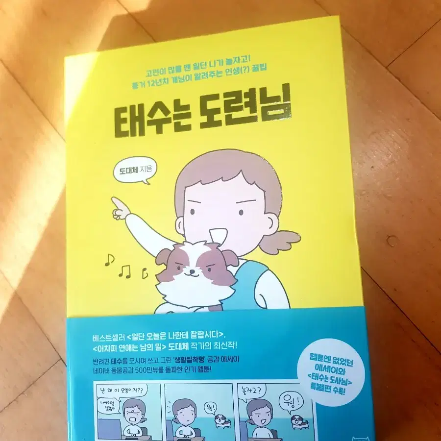 태수는 도련님