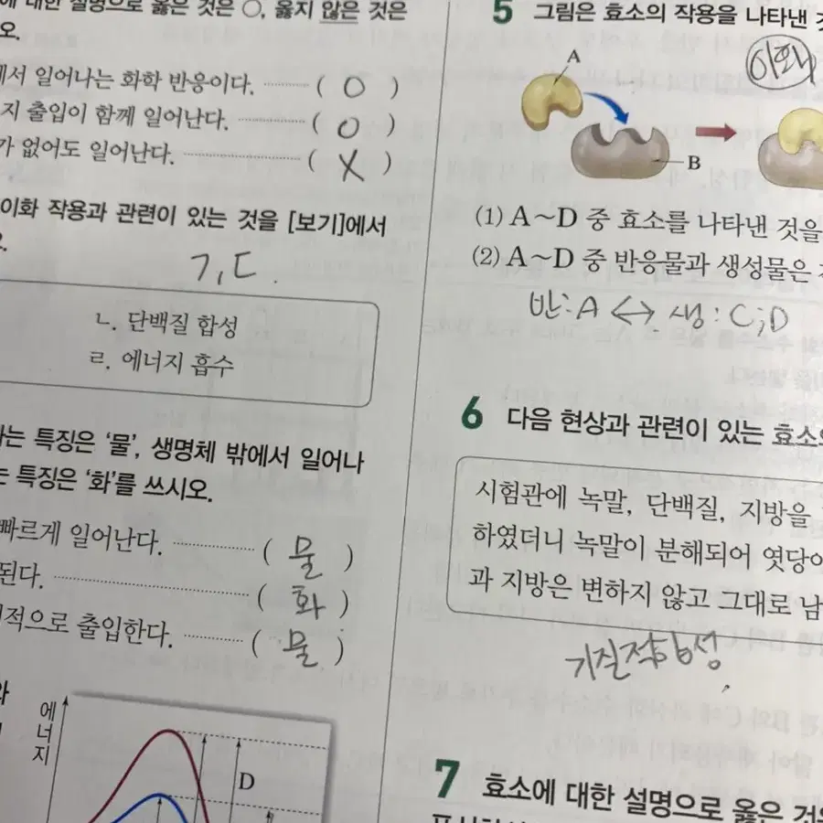 완자 통합과학 판매