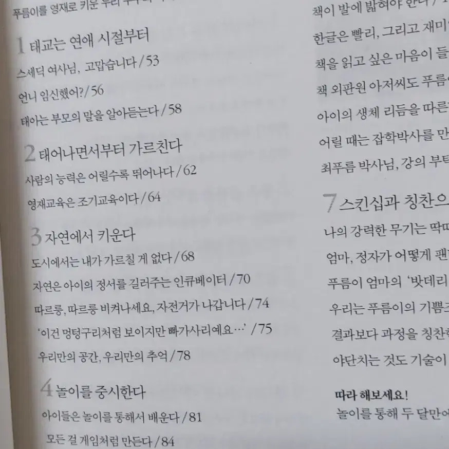 푸름이 이렇게 영재로 키웠다/내면의 힘을 키우는 몰입독서 최희수