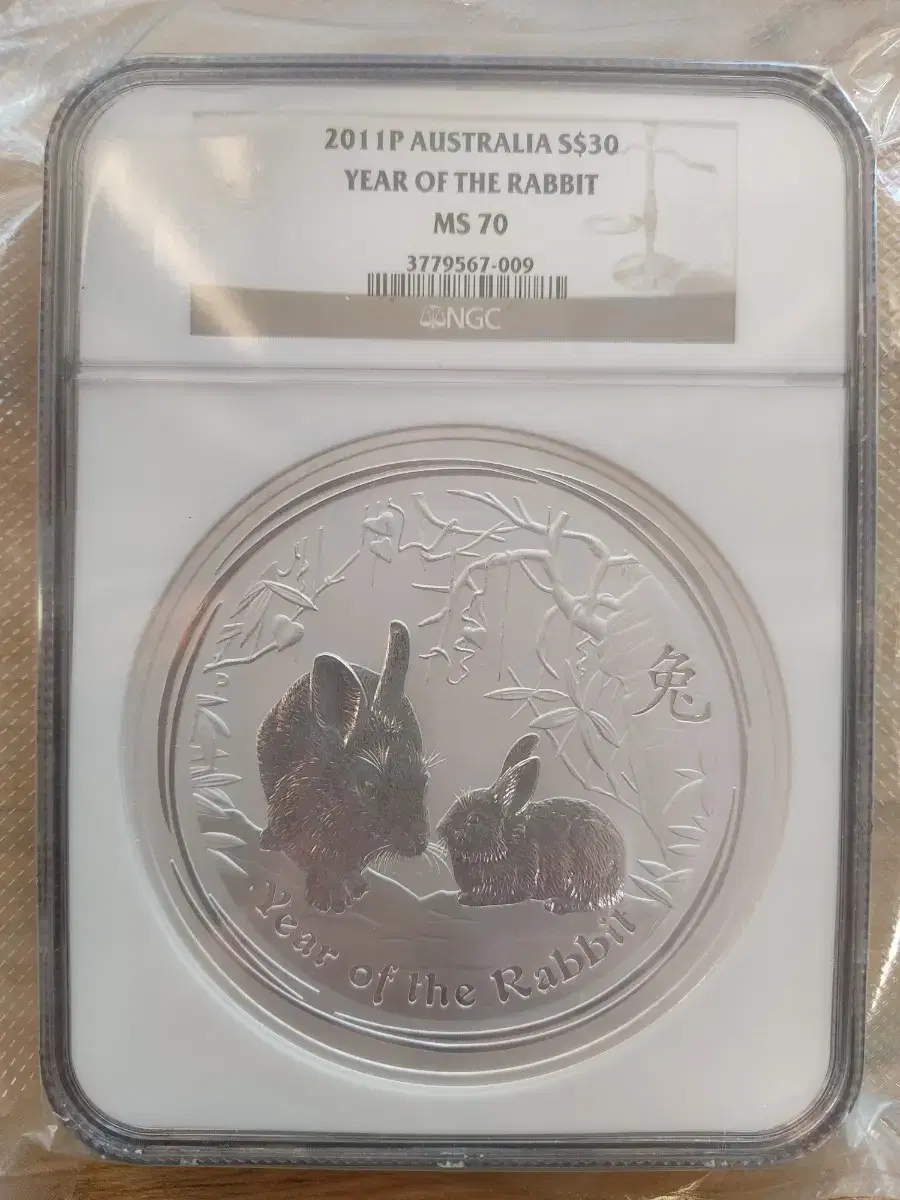 2011년 호주 1kg 토끼의 해 토끼띠 킬로 키로 은화 NGC MS70