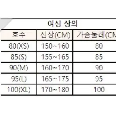 노스페이스 리버서블 베스트(44/55)