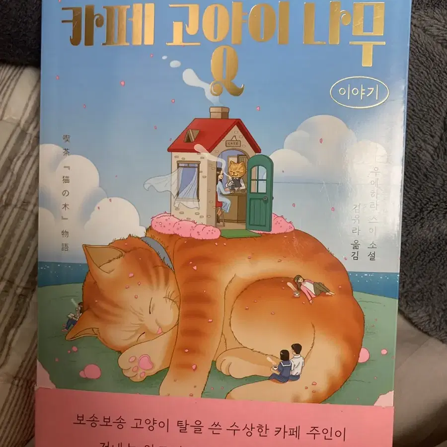 카페 고양이 나무 