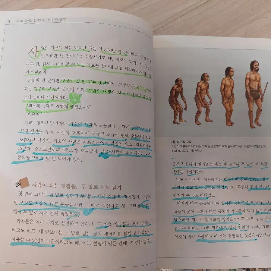 통째로 한국사, 세계사, 한국사편지