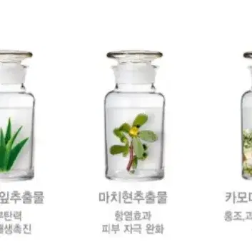 트러블 스킨(대용량/1000ml)