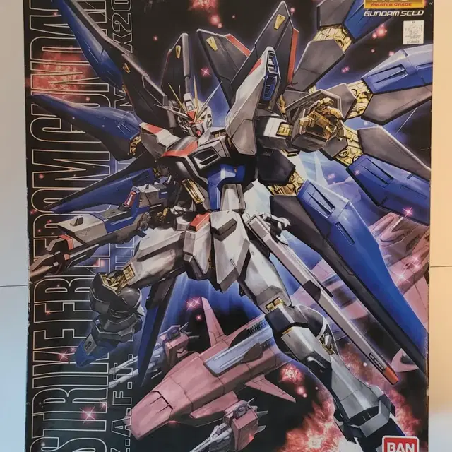 MG STRIKE FREEDOM GUNDAM