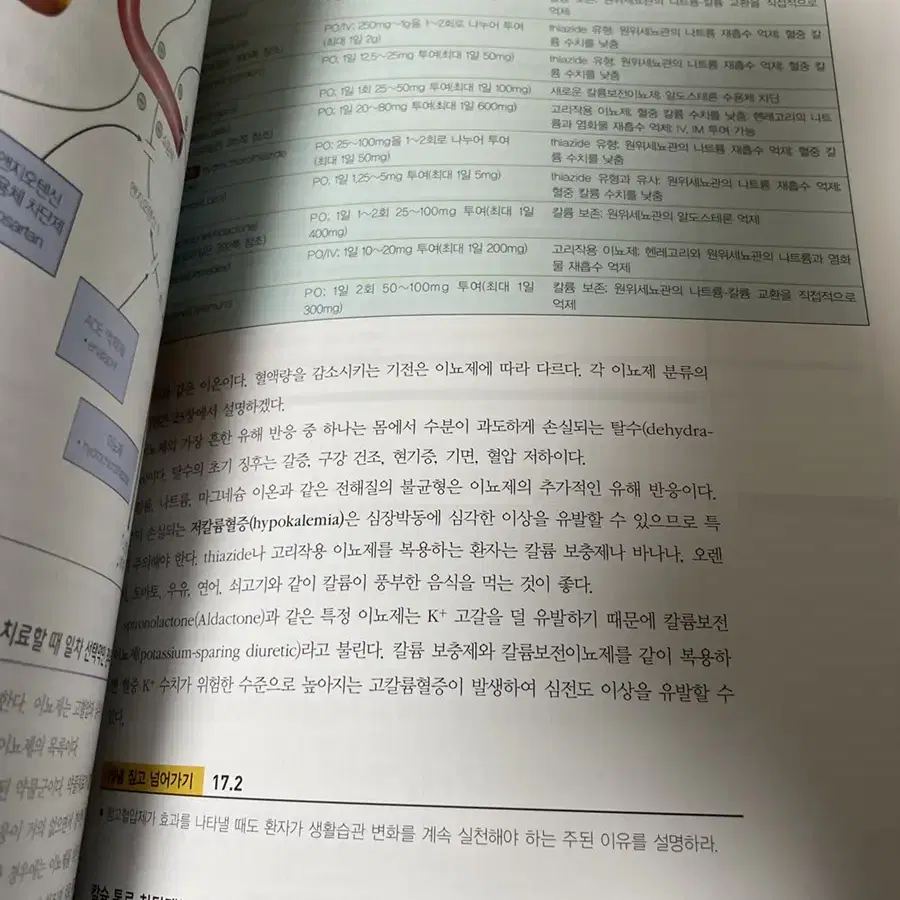 수문사 알기쉬운 핵심약리학 최스미