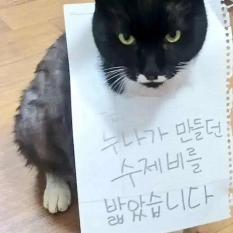 싸게 정리 합니다 싸이즈는 L 사진을 잘못찍어그런데정말이쁜옷이예요