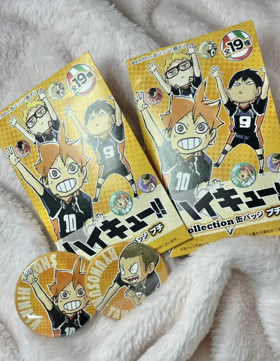 Haikyuu Petite Mini Can Badge