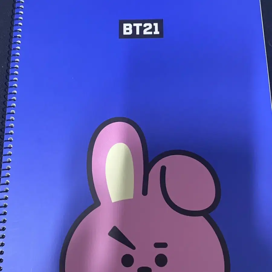 BT21 노트 키링 스티커 (쿠키 위주) (방탄소년단