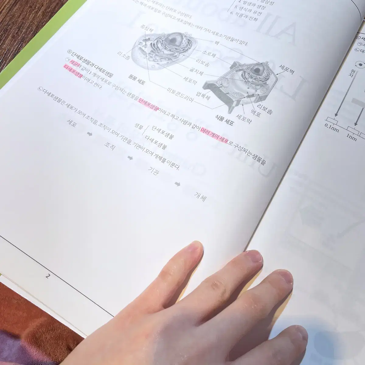 Learning/Dictionary/Reference Book 윤도영,윤도영유전,윤도영인피,윤도영올어바웃유전,윤도영얼텍 on ... Learning/Dictionary/Reference Book 윤도영,윤도영유전,윤도영인피,윤도영올어바웃유전,윤도영얼텍 On ...