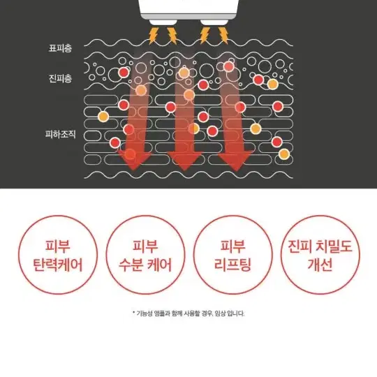 스킨빌더스 프로에스테 RF +마사지크림 / 새제품