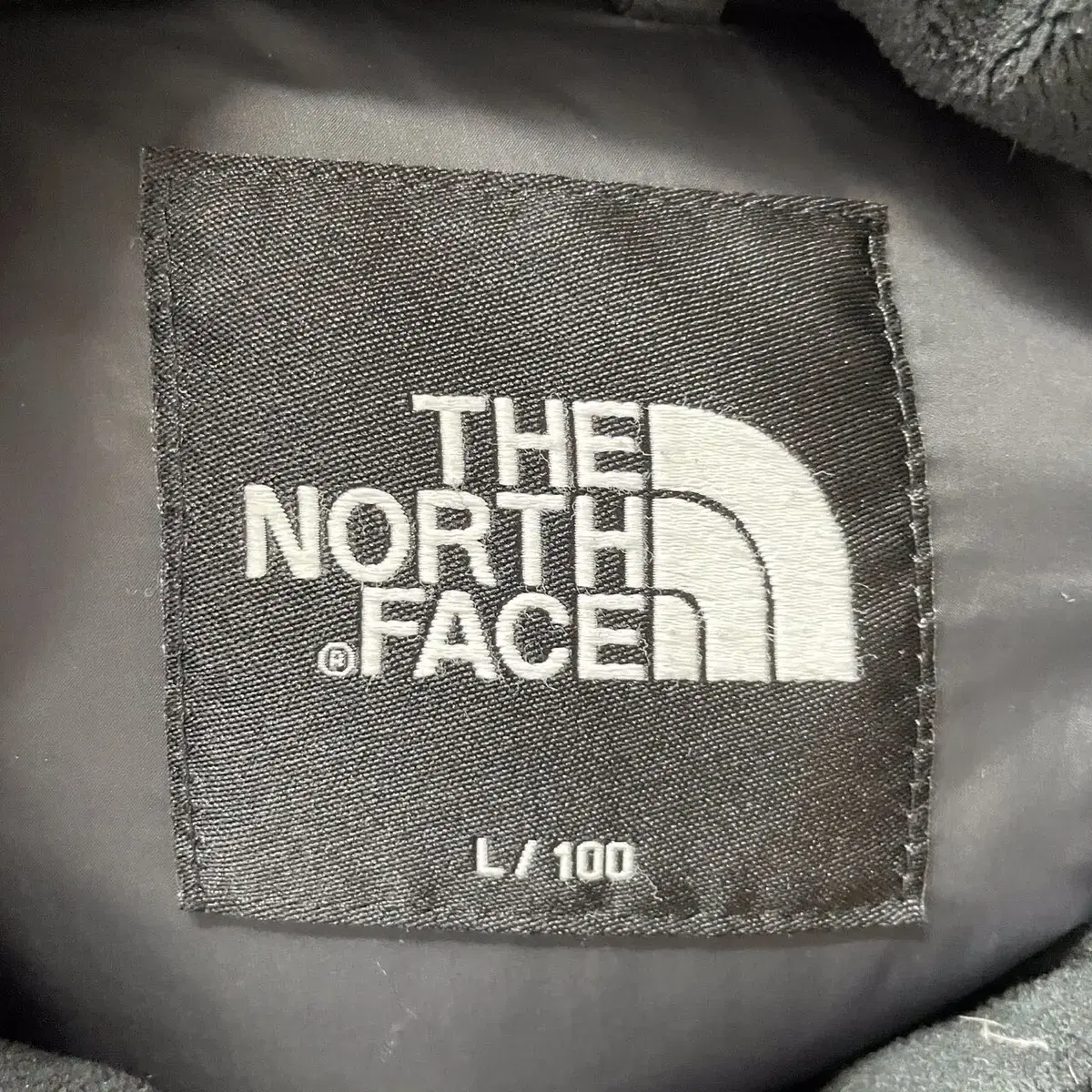 프롬브이 THENORTHFACE 노스페이스 구스다운 롱 (L)