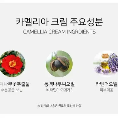 셀라인프로 카멜리아 크림 15ml 보습크림 밀착보습크림 수분보습크림