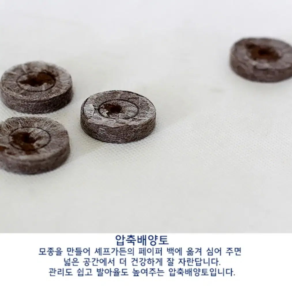 (새상품) 북유럽 페이퍼 백 텃밭가꾸기 세트 씨앗4종 셰프가든 