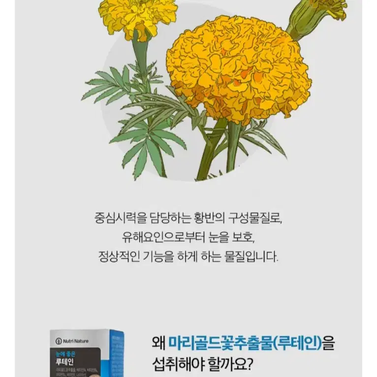 (뉴트리네이처)눈에 좋은 루테인 눈건강 마리골드꽃추출물