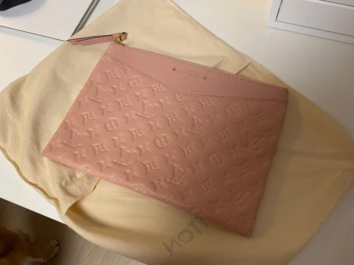 Louis Vuitton Daily Pouch Bag