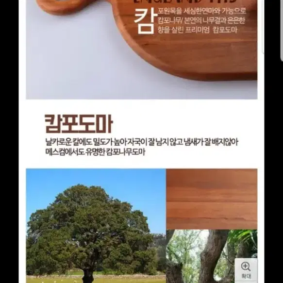 로얄베일 캄포나무도마