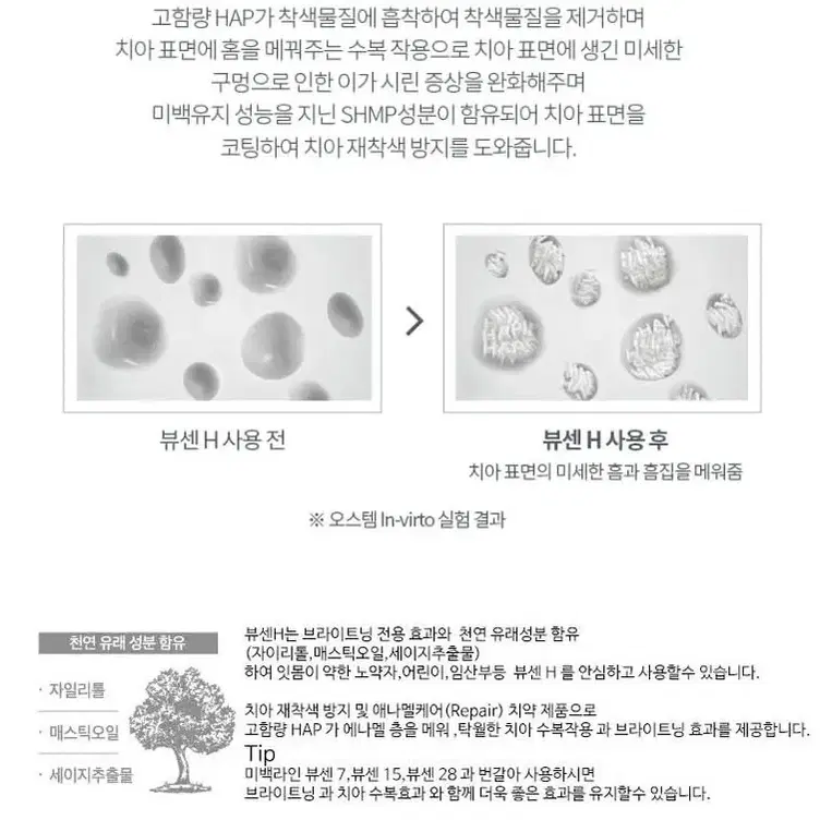 뷰센 미백치약.치솔.케이스 3종 세트 5개/인체무해치약