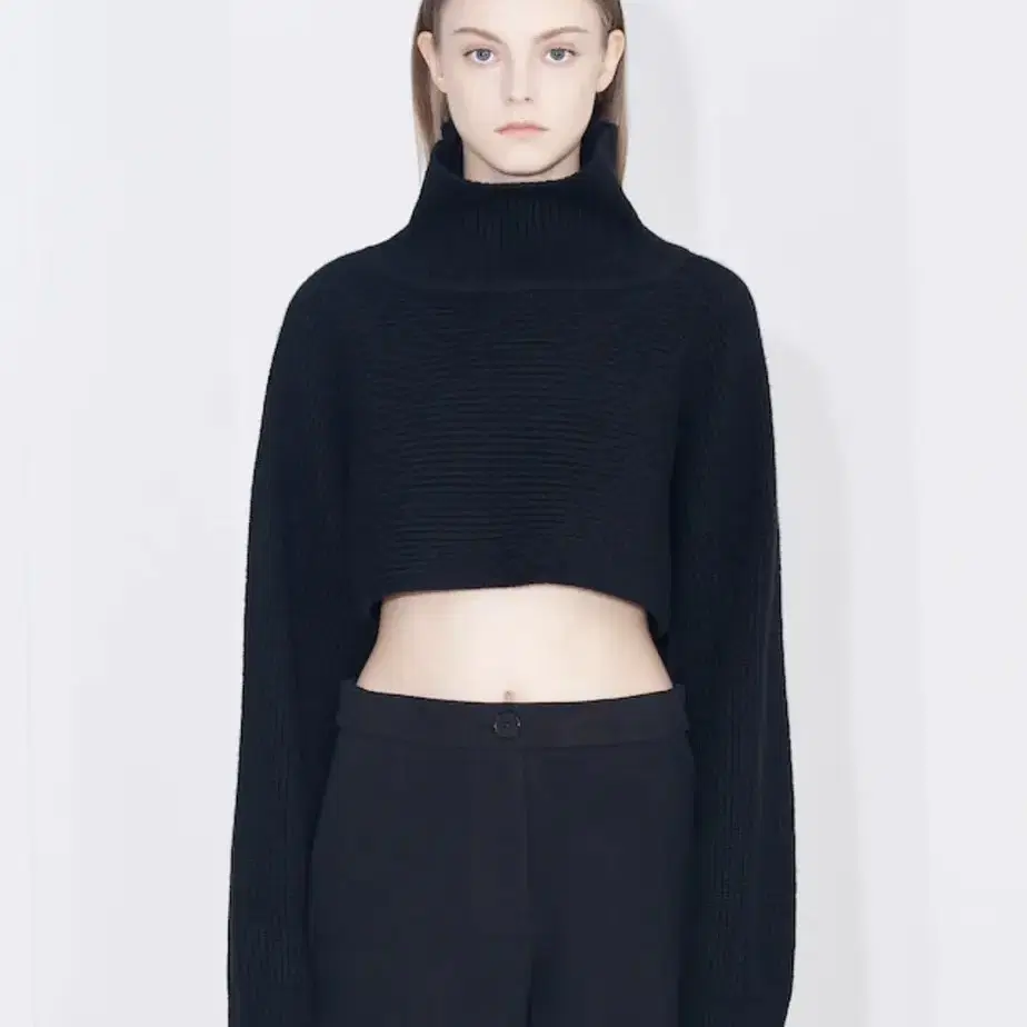 BEAKER Women Turtleneck Crop Pullover