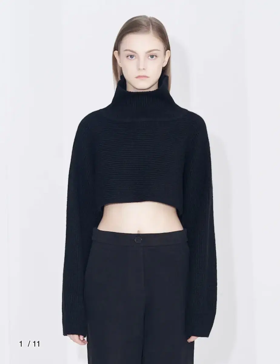 BEAKER Women Turtleneck Crop Pullover