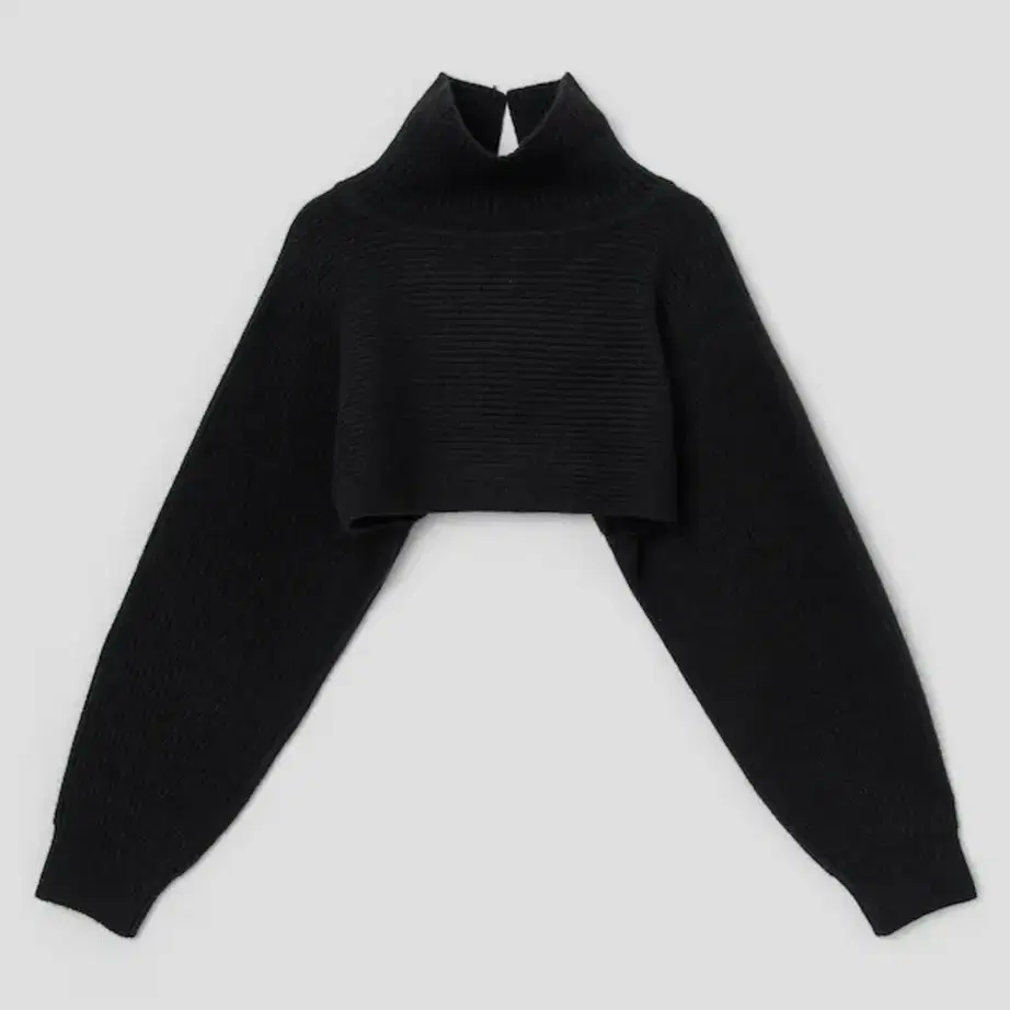 BEAKER Women Turtleneck Crop Pullover