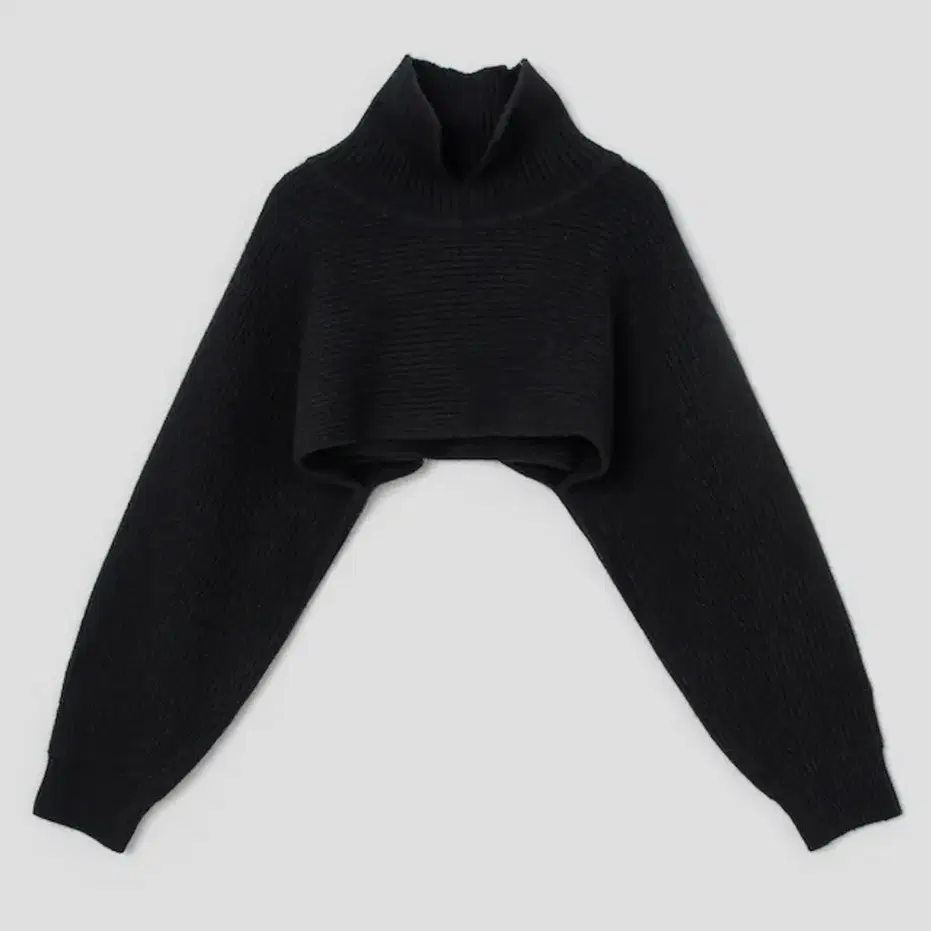 BEAKER Women Turtleneck Crop Pullover