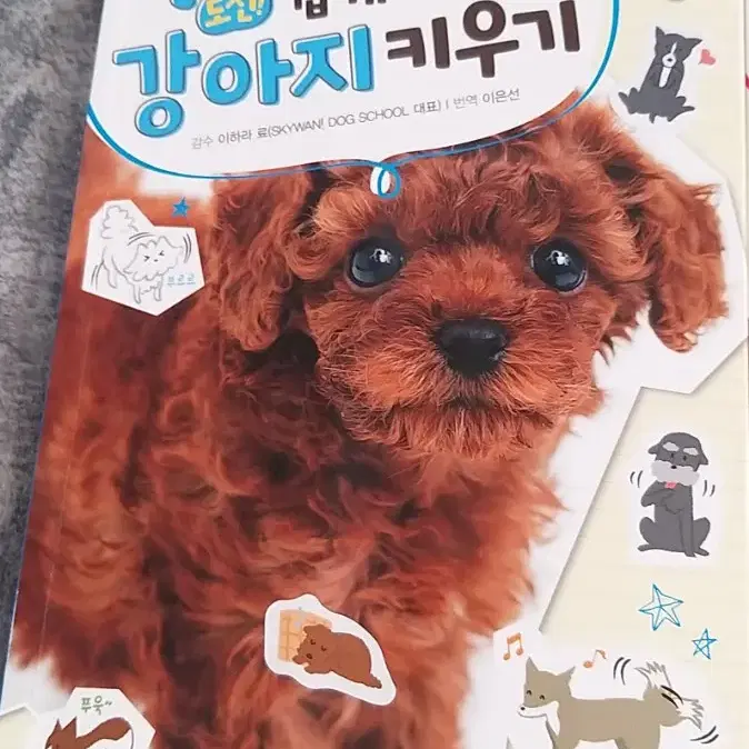 고양이, 강아지에 대한 책