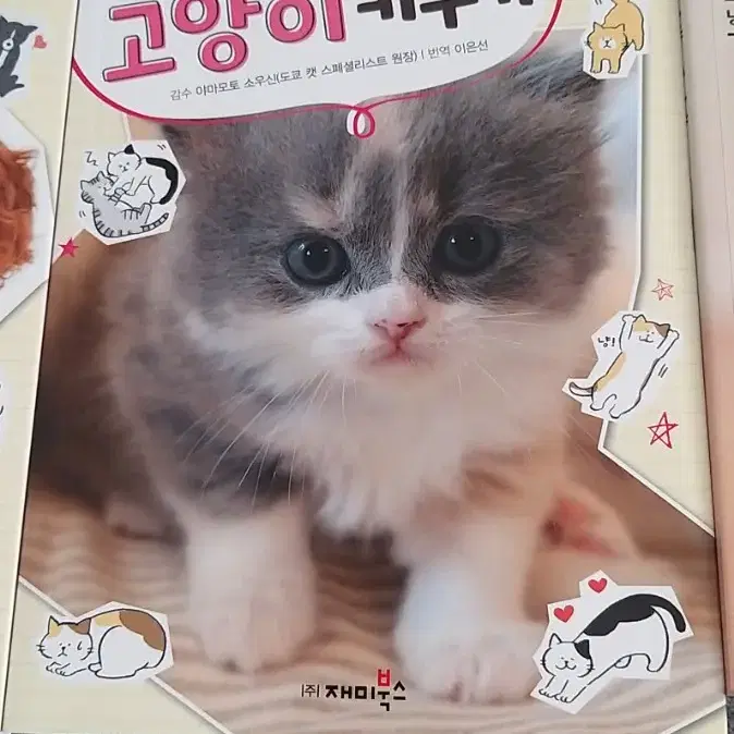 고양이, 강아지에 대한 책