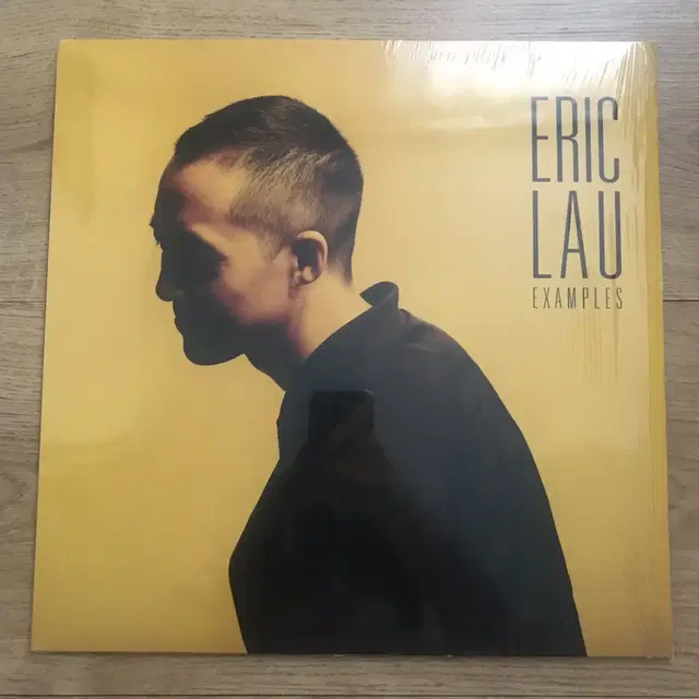 Eric Lau - Examples LP