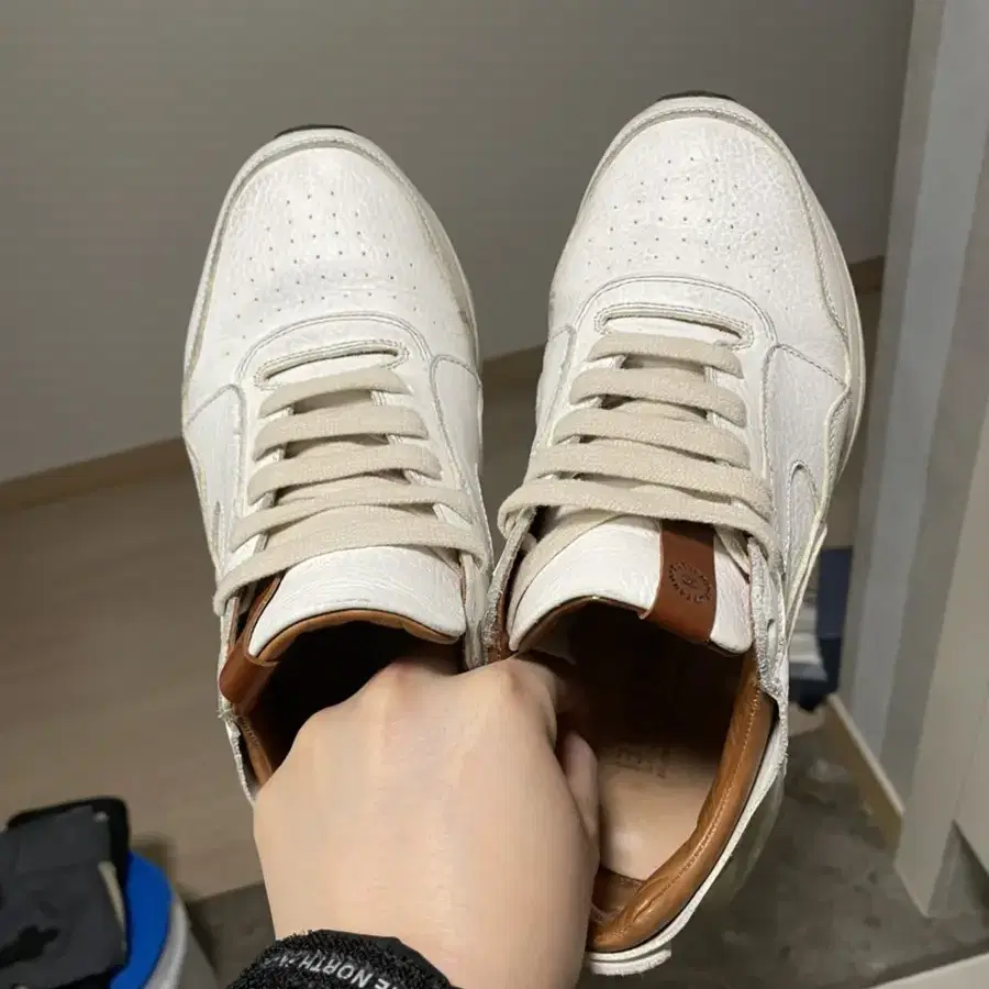 부테로 빈치 더티 260size 40size